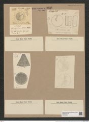 Coscinodiscus excentricus Ehr. (de-Toni-Nr.: Genus 202, Species 4880) Zeichnungen Sammlung Grunow Nr. 8636 (NHMW-BOT-W0378032)